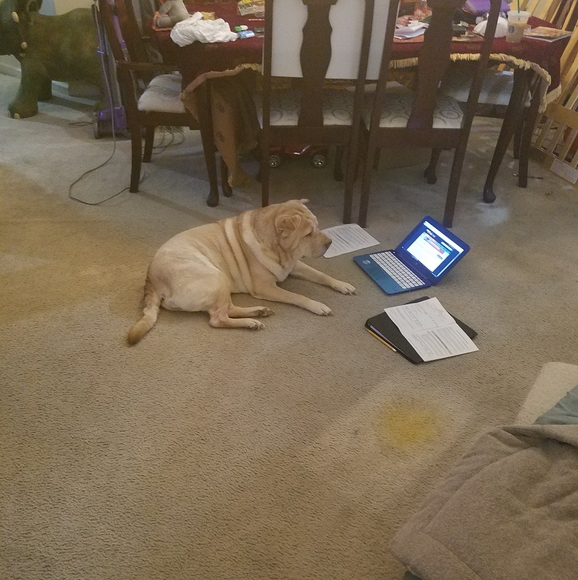 ✌♥🇺🇸♥🇺🇸♥🇺🇸♥✌ - Picture 7 of 14